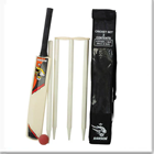 Size 5 Cricket Equipment Set