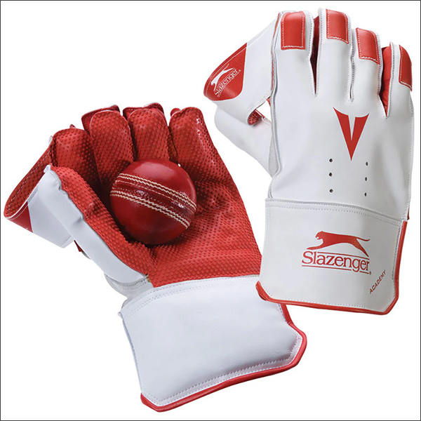 Wicket Keepers Gloves